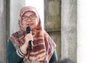 Produksi Cabai di Padangpanjang Terus Turun, Ini Penjelasan Dispangtan