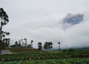 Pantauan erupsi Gunung Marapi dari Kabupaten Tanahdatar. (Foto: Dok. Istimewa)