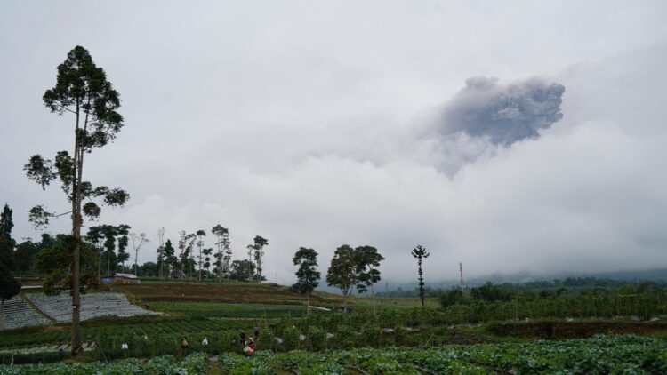 BKSDA Sumbar Upayakan Asuransi Berikan Santunan untuk Korban Erupsi Marapi 1 Pantauan erupsi Gunung Marapi dari Kabupaten Tanahdatar. (Foto: Dok. Istimewa)