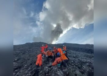 Kapan Operasi Pencarian Korban Erupsi Gunung Marapi Dihentikan? Ini Penjelasan Basarnas 20 Evakuasi korban terdampak erupsi Gunung Marapi. (Foto: Dok. Basarnas)