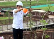 Pemerintah Bebaskan PPh dan PPN bagi UMKM yang Berinvestasi di IKN