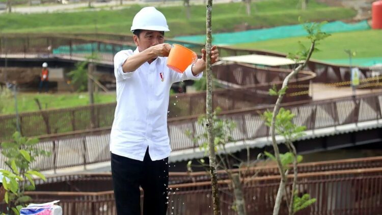 Presiden Jokowi menanam pohon meranti tembaga di Kawasan Inti Pusat Pemerintahan, Ibu Kota Nusantara, Penajam, Paser Utara, Kalimantan Timur, Rabu (20/12/2023). ANTARA/Novi Abdi/aa.