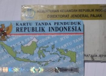 Penduduk Pasaman Barat Tambah 3.755 Jiwa, Ini Daerah Terpadat dan Tersepi 1 Kartu tanda penduduk (KTP) elektronik dan nomor pokok wajib pajak (NPWP). (ANTARA/Akhmad Nazaruddin Lathif)