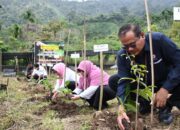 Pengembangan Kopi Robusta Bantjah, Pemprov Sumbar Apresiasi Semen Padang
