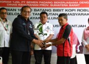 Semen Padang Serahkan 16 Ribu Bibit Kopi Robusta Bantjah ke HKm Sikayan Balumuik