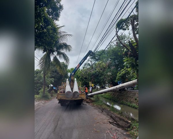 Listrik di Jati Padam Gegara Musang, PLN Sampai Ganti Tiang dan Kabel 1 Petugas melakukan penggantian tiang dan kabel listrik pasca pemadaman listrik di kawasan Jati pada Kamis (14/12/2023) pagi. (Foto: Dok. PLN UID Sumbar)