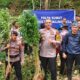 Temuan ladang ganja di Madina, Provinsi Sumut. (dok. istimewa)