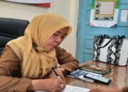 Tiga Orang Meninggal di Pariaman Gegara Kasus DBD selama 2023