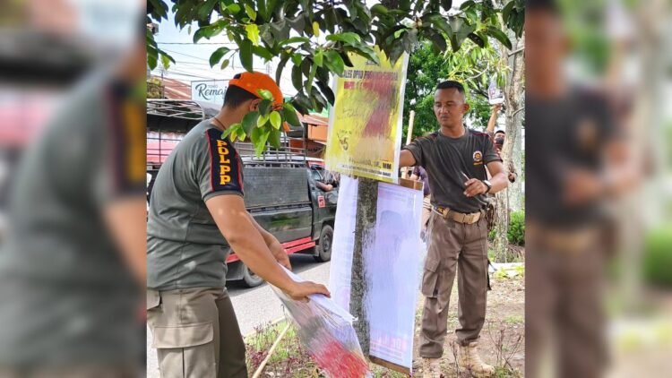 Tertibkan Baliho yang Melanggar, Satpol PP Padang Sasar Tiga Kecamatan Ini 1 Satpol PP Padang menurunkan paksa baliho caleg dan parpol yang dipasang di pohon pelindung dan tempat yang dilarang. (Foto: Dok. Satpol PP Padang)