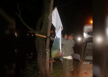 Langgar Aturan, Satpol PP Padang kembali Copot Sejumlah Baliho dan Spanduk