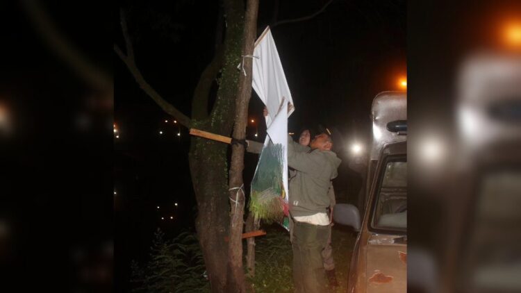 Satpol PP Padang kembali menertibkan baliho dan spanduk. (Foto: Dok. Satpol PP Padang)