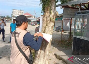 Tim dari Bawaslu Agam sedang membuka baliho yang terpasang di pohon pelindung, Sabtu (27/1/2024). (Dok Antara/Yusrizal)
