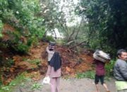 Pemkab Solok Kerahkan Alat Berat Bersihkan Material Longsor di Nagari Lolo