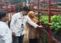 Dilakukan Serentak, KPU Padang bakal Tanam Pohon di Seluruh TPS