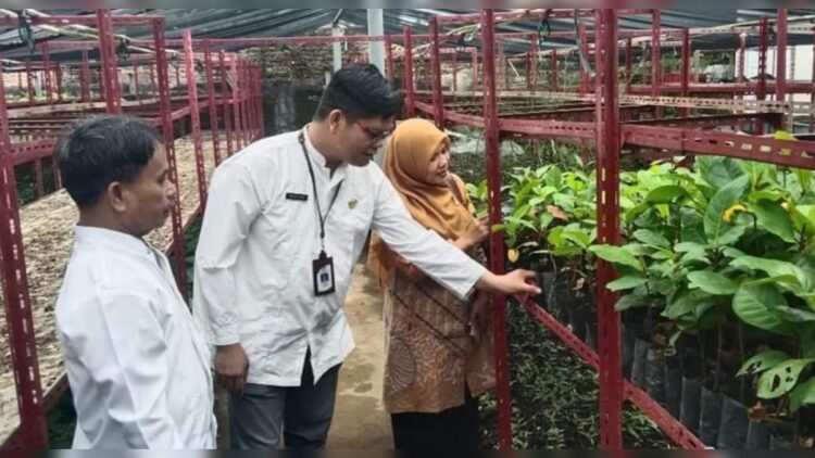 KPU Padang akan melakukan penanaman pohon di seluruh TPS di Kota Padang. (Foto: Dok. Diskominfo Padang)