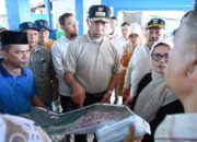 Selama 2023, Nilai Ekspor Lobster Sumbar Capai Rp12 Miliar