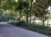 Banyak Terpasang di Zona Terlarang, Bawaslu Pasbar Cari Formula Penertiban APK