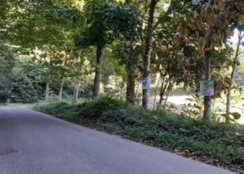 Banyak Terpasang di Zona Terlarang, Bawaslu Pasbar Cari Formula Penertiban APK