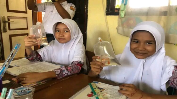 Ciptakan Lingkungan Belajar Kreatif, Pemko Pariaman Kenalkan Ikan Hias pada Siswa 1 Dua siswa SD di Kota Pariaman, Sumatera Barat menunjukkan ikan yang diperoleh di sekolah. Antara/HO-Diskominfo Pariaman
