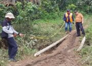 Tingkatkan Ekonomi Warga, Pemkab Pasbar Tinjau Jalan Penghubung Sporsa-Sikilang