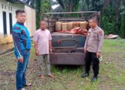 Polres Pasaman Barat Tangkap Pelaku Penyalahgunaan BBM Subsidi