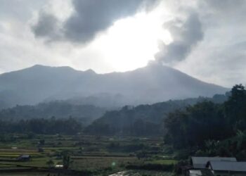 BPBD Agam Sebut 126 Jiwa Berada di Zona Berbahaya Erupsi Gunung Marapi 15 Sawah dan ladang warga di lereng Gunung Marapi yang saat ini berstatus Siaga atau Level III. BPBD Agam mencatat untuk sementara terdata 126 jiwa berada di lokasi berbahaya radius 4,5 kilometer dari puncak. (ANTARA/AL FATAH)