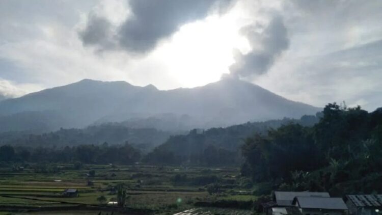 Sawah dan ladang warga di lereng Gunung Marapi yang saat ini berstatus Siaga atau Level III. BPBD Agam mencatat untuk sementara terdata 126 jiwa berada di lokasi berbahaya radius 4,5 kilometer dari puncak. (ANTARA/AL FATAH)