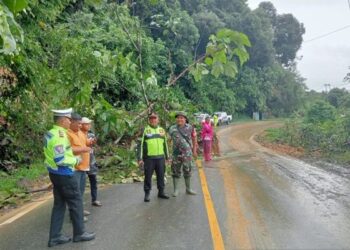 Longsor sempat timbun jalan lintas Sumbar-Riau di Pangkalan. (Foto: Dok. Antara/BPBD Limapuluh Kota)