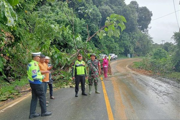 Longsor Sempat Timbun Jalan Lintas Sumbar-Riau 1 Longsor sempat timbun jalan lintas Sumbar-Riau di Pangkalan. (Foto: Dok. Antara/BPBD Limapuluh Kota)