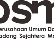 Padang Cari Dirut Perumda PSM Baru, Berminat? Simak Jadwal dan Syarat Lengkapnya