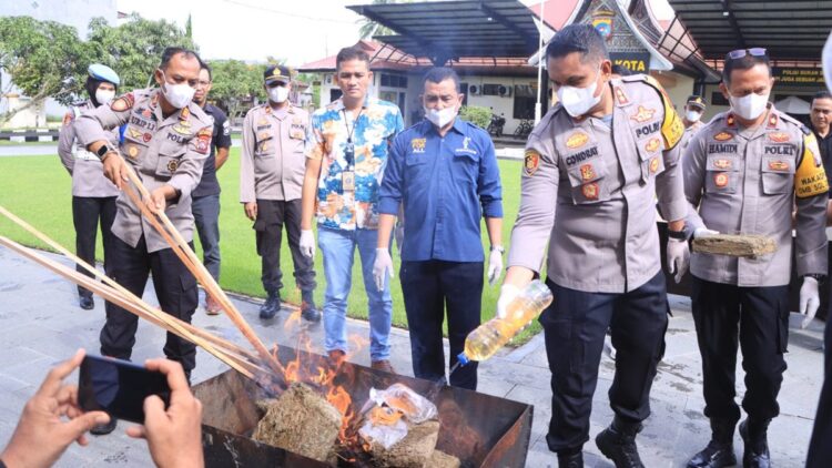 Pemusnahan barang bukti ganja di Polres 50 Kota. (dok. istimewa)