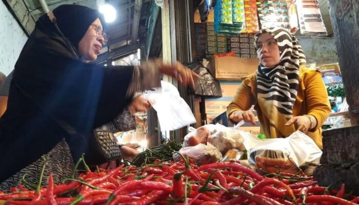 Harga Cabai Meroket di Pariaman, Pemko Sebut Dampak Kemarau Panjang