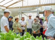 Kunjungi IKN, Pemerintah Inggris Punya Pikiran Sama soal Konsep Kota Hutan