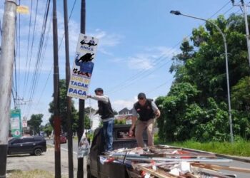 Terpasang di Lokasi Terlarang, Bawaslu Pasbar Tertibkan APK Pemilu 2024