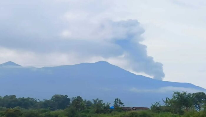 Gunung Marapi Erupsi Perdana 2026, Kolom Abu 250 Meter Mengarah ke Tenggara