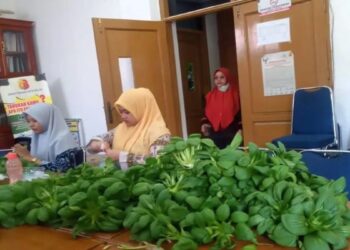 Penunjang Ketahanan Pangan, Pemko Solok Manfaatkan Gang Kosong untuk Tanaman