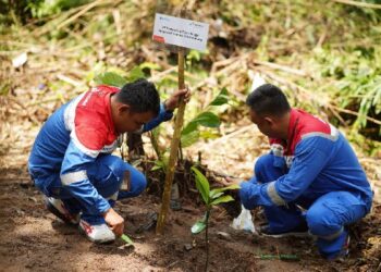 Aksi penanaman bibit pohon oleh Pertamina Patra Niaga Regional Sumbagut. (Foto: Dok. Pertamina)