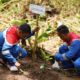 Aksi penanaman bibit pohon oleh Pertamina Patra Niaga Regional Sumbagut. (Foto: Dok. Pertamina)