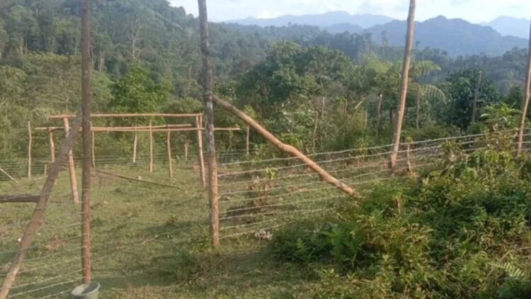 Kandang komunal yang dibangun di Jambak, Nagari atau Desa Binjai, Kecamatan Tigo Nagari, Kabupaten Pasaman. Dok Antara/Yusrizal