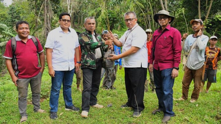 Dibantu Bibit Semen Padang, Kelompok Tani Tanjuang Gadang Tanam 10.000 Kaliandra Merah 1 Ka Sie TJSL Unit CSR PT Semen Padang, Nurwan, menyerahkan bibit kaliandra merah kepada Wali Nagari Tanjuang Gadang, Zamhar, beberapa waktu lalu. Bibit kaliandra merah itu akan ditanam di lahan lebih kurang 10 ha yang ada di Nagari tersebut. (dok. Humas)
