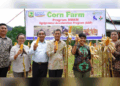Panen perdana jagung di Universitas Andalas (Unand) pada Selasa (6/2/2024) siang. (Foto: Dok. PPID)