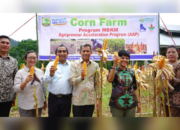 Fakultas Peternakan Unand Panen Perdana Jagung