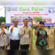 Panen perdana jagung di Universitas Andalas (Unand) pada Selasa (6/2/2024) siang. (Foto: Dok. PPID)