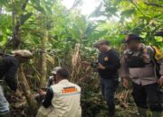 Ini Delapan Konflik Satwa Liar yang Terjadi di Agam selama Awal 2024