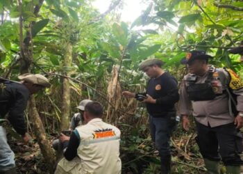 Ini Delapan Konflik Satwa Liar yang Terjadi di Agam selama Awal 2024