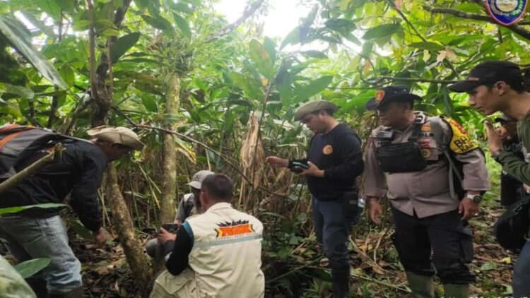 Tim gabungan melakukan Indentivikasi keberadaan dari satwa liar di Sipinang, Kecamatan Palembayan, Agam. Dok HO/Bhabinkamtibmas