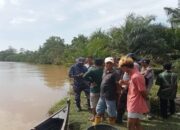 Diduga Diserang Buaya, Seorang Warga Agam Hilang di Sungai saat Cari Lokan
