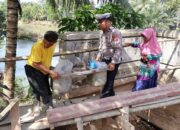 Kemenkes Sebut Korban Banjir Pessel Butuh Air Bersih, Sumber Air Banyak Tercemar Bangkai Ternak