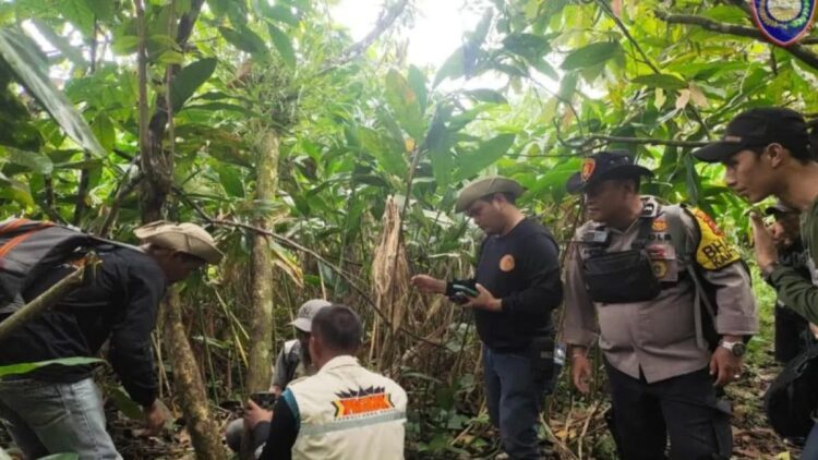 Tim dari BKSDA Sumbar sedang melakun penanganan konflik di Nagari Sipinang, Kecamatan Palembayan, Kabupaten Agam, Rabu (6/3). Dok HO/Bhabinkamtibmas Sipinang