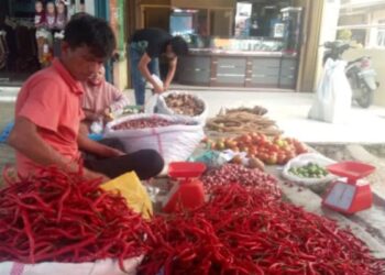Harga Cabai di Dharmasraya jelang Ramadan “Menggila”, Tembus Rp120 Ribu per Kg